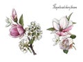 Bouquets of watercolor flowers. Set of watercolor magnolia and cherry blossom
