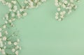 Bouquets of a white gypsophila flower on a pale green background Royalty Free Stock Photo