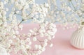Bouquets of a white gypsophila flowers on a pale blue pink background. Royalty Free Stock Photo