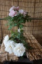 A bouquets of white and pink peonies on a place mat made of bamboo