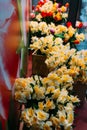 Bouquets of yellow daffodils and red tulips stand in flower beds on a glass showcase Royalty Free Stock Photo
