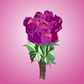 Bouquette of pink roses isolated Royalty Free Stock Photo