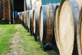 Bourbon Barrels Royalty Free Stock Photo