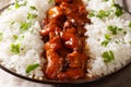 Bourbon chicken with garnish of rice close-up. horizontal