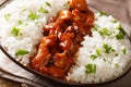 Bourbon chicken with garnish of rice close-up served on a plate.