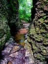 Bourbonnais Geologic Area Nature Preserve