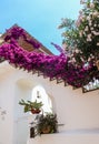 Bourgainvillea grows over the stairs to villa