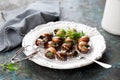 Bourgogne Escargot Snails with garlic herbs butter on a white plate