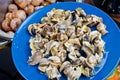 Bourgogne snails