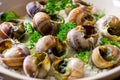 Bourguignonne snail au gratin Royalty Free Stock Photo