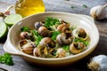 Bourguignonne snail au gratin Royalty Free Stock Photo