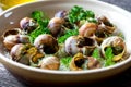 Bourguignonne snail au gratin Royalty Free Stock Photo