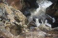 Bourke's Luck potholes and lichen Royalty Free Stock Photo