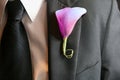 Boutonniere Royalty Free Stock Photo