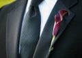 Boutonniere Royalty Free Stock Photo