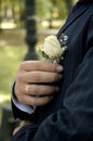 Boutonniere flower on suit jacket of wedding groom Royalty Free Stock Photo