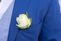 Boutonniere of flowers of the groom white rose on man suit Royalty Free Stock Photo