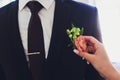 Boutonniere in form of rose on wedding suit of groom. Royalty Free Stock Photo