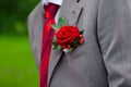 Boutonniere on grey suit Royalty Free Stock Photo