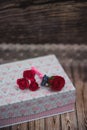 Boutonniere and pins with a red rose Royalty Free Stock Photo