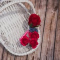 Boutonniere and pins with a red rose Royalty Free Stock Photo
