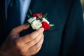 Boutonniere of white and red roses in the buttonhole of a classic jacket. Groom touches boutonniere, man`s hand close-up. Wedding