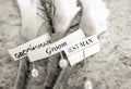 Black and white close up of boutonniÃÂ¨res with stick puns holding labels for groom,best man and groomsmen