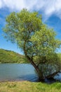 Bovan Lake near Sokobanja in eastern Serbia