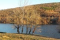 Bovan lake, Serbia, landscape, nature Royalty Free Stock Photo