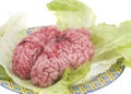 Bovine brain with letuce in white