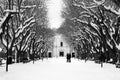 Bovino, Daunian Mountains, Southern Italy - 14.02.2021 Beautiful, peaceful winter park scene under snow