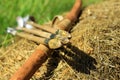 Bow and arrows in the hay stack