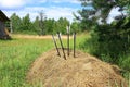 Bow and arrows in the hay stack