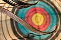 Bow, arrows and target Royalty Free Stock Photo