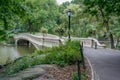 Bow Bridge in Autumn Central Park