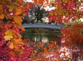 Bow bridge- Central Park. Manhattan, NY