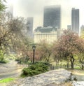 Bow bridge Central Park, New York City Royalty Free Stock Photo