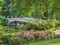 Bow bridge in summer Royalty Free Stock Photo