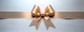 Bow with golden beige silk ribbon to give and wrap in a gift box. Top view with empty white background. Panorama copy Royalty Free Stock Photo