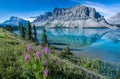 Bow lake, Banff National Park, Alberta, Canada Royalty Free Stock Photo