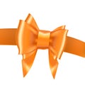 Bow ribbon gift