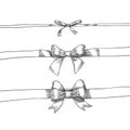 Bow ribbons sketch vector illustration. Hand drawn isolated holiday design elements