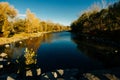 Bow river by downtown Calgary in the summertime Royalty Free Stock Photo