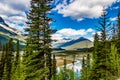 The Bow River through the back country Icefields Parkway. Banff National Park, Alberta, Canada Royalty Free Stock Photo