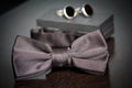 Bow tie Royalty Free Stock Photo