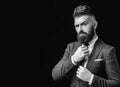 Bow tie. Bearded man in dark grey suit. Man in classic suit, shirt and tie. Rich man model. Luxury classic suits, vogue. Royalty Free Stock Photo