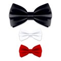 Bow tie Royalty Free Stock Photo