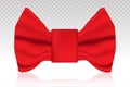 Bow tie or bowties fashion accessory flat icon on a transparent background Royalty Free Stock Photo