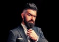 Bow-tie fashion. Bearded man in dark grey suit. Man in classic suit, shirt and tie. Rich man model. Luxury classic suits Royalty Free Stock Photo