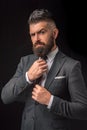 Bow-tie fashion. Bearded man in dark grey suit. Man in classic suit, shirt and tie. Rich man model. Luxury classic suits Royalty Free Stock Photo
